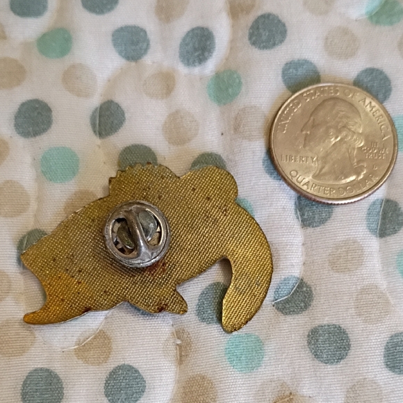 Colorful Fish Pin - Picture 2 of 2